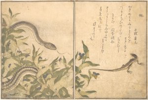 Råttsnok (Hebi); ödla eller skink (Tokage), ur Bilderboken med krypande varelser (Ehon mushi erami) av Kitagawa Utamaro
