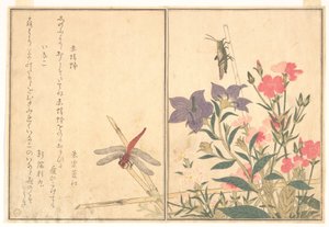 Röd trollslända (Akatonbo); gräshoppa (Inago), ur Bilderboken om krypande varelser (Ehon mushi erami) av Kitagawa Utamaro
