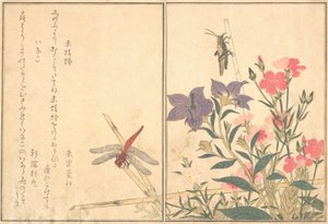 Red Dragonfly Akatonbo, Locust Inago..., 1788. av Kitagawa Utamaro