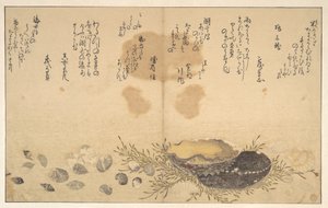 Snäckor under vatten av Kitagawa Utamaro