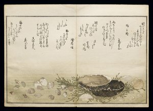 Shiohi no tsuto (Gåvor från Ebb Tide), känd som Shell Book, 1789 (träblock i färg) av Kitagawa Utamaro
