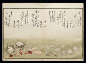 Shiohi no tsuto (Gåvor från Ebb Tide), känd som Shell Book, 1789 (träblock i färg) av Kitagawa Utamaro
