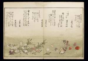 Shiohi no tsuto (Gåvor från Ebb Tide), känd som Shell Book, 1789 (träblock i färg) av Kitagawa Utamaro