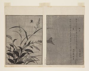 Tree Cricket (Matsumushi) och Firefly (Hotaru) (träblock i färg) av Kitagawa Utamaro