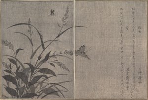 Trädsyrsa Matsumushi, Firefly Hotaru..., 1788. av Kitagawa Utamaro
