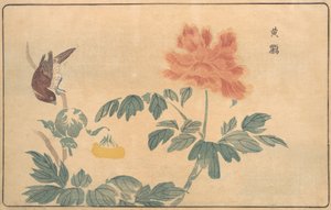 Kinesisk Oriole och pioner, 1789.