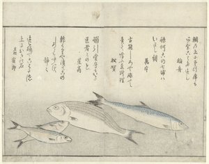 Fyra fiskar av Kitao Masayoshi