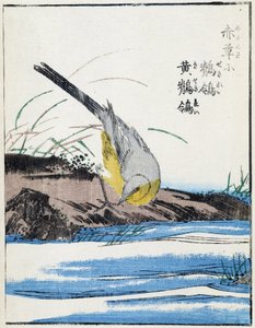Fågel. Japansk teckning av Kitao Kosuisai