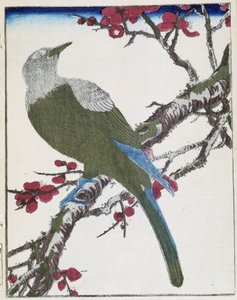 Fågel på ett träd. Japansk teckning av Kitao Kosuisai av Kitao Shigemasa