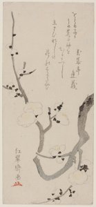 Plommon gren av Kitao Shigemasa