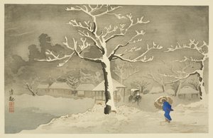 Nedre vallen vid Mimeguri, Mukojima (träblock i färg) av Kiyochika Kobayashi
