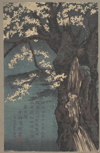 Körsbärsträd av Kobayashi Kiyochika
