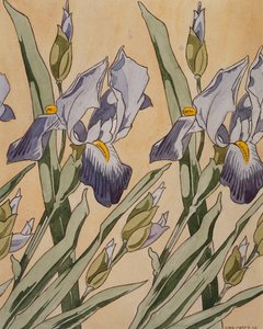 Iris, 1898 av Koloman Moser