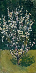 Blommande planta av Koloman Moser