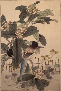 Blåstjärtade fåglar bland blommorna från Bunrei Kacho Gafu, pub. 1885