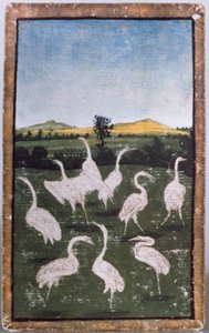Häger på ett fält, ett av en uppsättning spelkort som visar scener av hövisk hökning, Upper Rhein Area, c.1440-45 (penna och bläck, wc) (se även 88300-04) av Konrad Witz