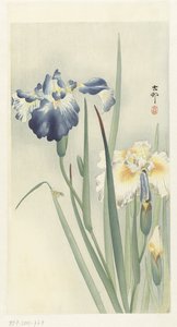 Iris av Ohara Koson