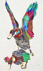 Färgglada mönstrade ankor