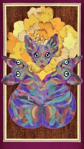 Färgglad Sphynx-blomma