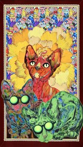 Färgglada sphynxkatter