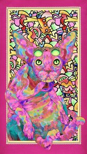 Psykedelisk sphynxkatt av Kostyantin Malginov