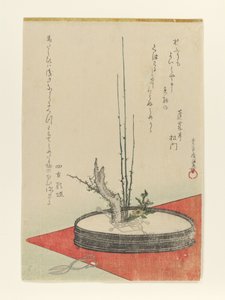 Arrangemang av plommon, Fukujusō (adonis) och sax av Kubo Shunman