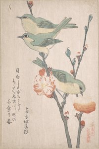 Japanska glasögonfåglar på en persikoträdgren, ur serien En samling fåglar (Tori awase), ur surimonoalbumet Vårregn (Harusame surimono-jō, vol. 3) av Kubo Shunman