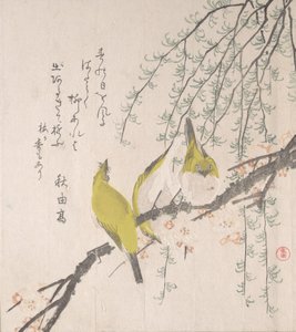 Japanska vita ögon med plommonträd och pil..., ca. 1810. av Kubo Shunman