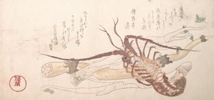 Hummer och grönsaker, 1800-talet.