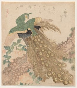 Of Three Pieces [Peacock] (Mi hira no uchi) av Kubo Shunman