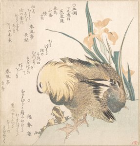 Par av mandarinänder och irisblommor av Kubo Shunman