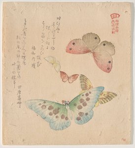 The Painting Manual of Flock of Butterflies (Guncho? Gafu) av Kubo Shunman