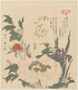 Pioner och iris Kakitsubata botan (titel på objekt) Ett urval av växter för Kasumi Poetry Society (serietitel) Kasumiren sômoku awase (serietitel på objekt)