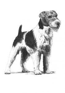  av Kulik