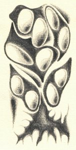  av Kulik