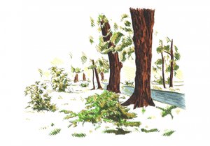  av Kulik
