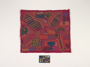 Skjortapanel (Mola) (foto)
