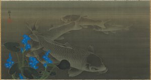 Karp, Edo-period, tidigt 1800-tal. av Kuroda Toko