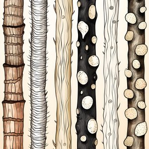 Trädstammens sektioner, boho clipart, boho ritmönster, boho stam 1
