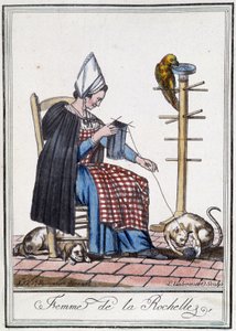 Kvinna från La Rochelle som stickar med en hund, en papegoja och en katt som leker med ullbollen.