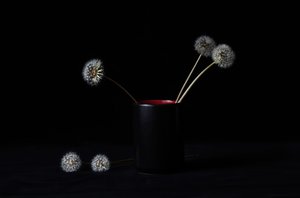 Elegant vas med maskrosor av LM Meng