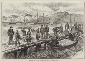 Skisser på Island, landning av torkad torsk i Reykjavik