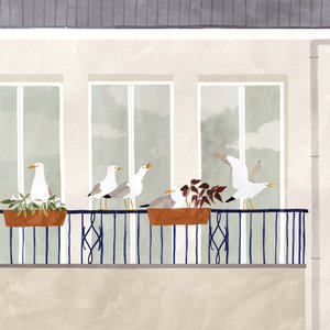 Seagull säsong, 2020