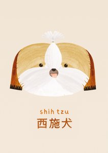 Shih tzu, 2019 av Léa Le Pivert