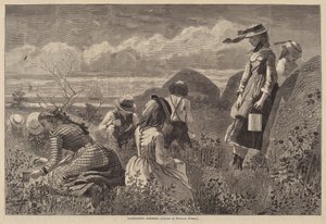 Samla bär av Lagarde after Winslow Homer