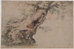 Hollow Tree, efter Roelant Savery, efter 1670.