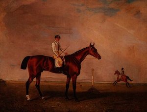 Bay kapplöpningshäst med jockey på en kapplöpningsbana