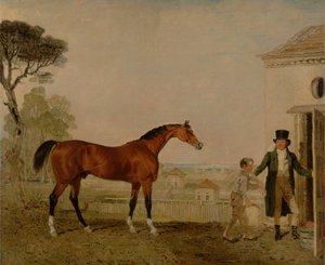 "Sultan" på Marquess of Exeter