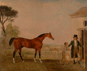 "Sultan" på Marquess of Exeter
