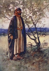 Folk i Egypten: Beduin arab, Bedawi (färglitografi) av Lance Thackeray